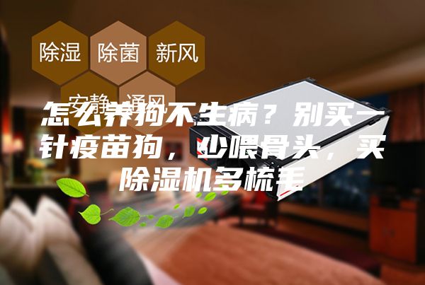 怎么養(yǎng)狗不生??？別買一針疫苗狗，少喂骨頭，買除濕機多梳毛