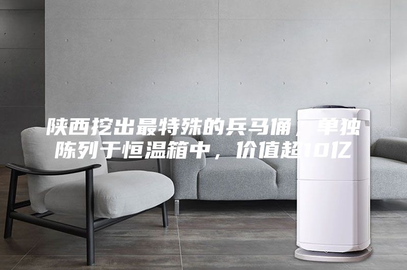 陜西挖出最特殊的兵馬俑，單獨(dú)陳列于恒溫箱中，價(jià)值超10億