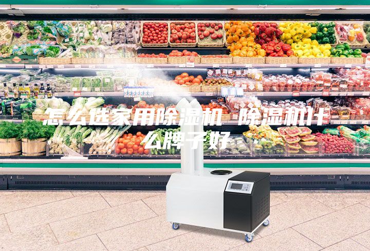 怎么選家用除濕機 除濕機什么牌子好