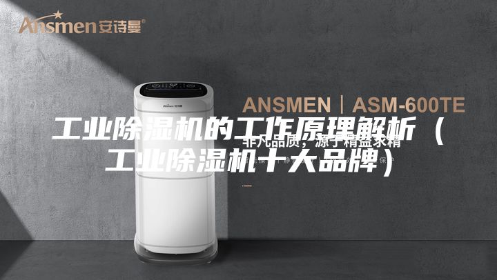 工業(yè)除濕機(jī)的工作原理解析(工業(yè)除濕機(jī)十大品牌)