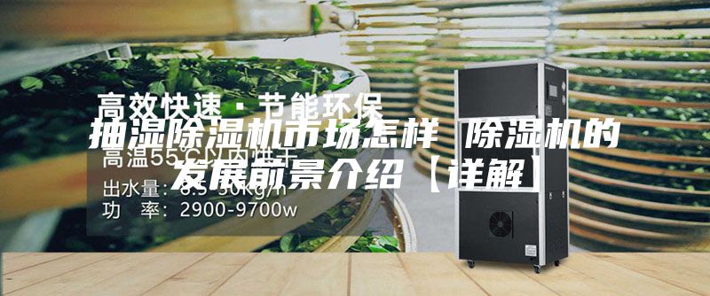 抽濕除濕機(jī)市場怎樣 除濕機(jī)的發(fā)展前景介紹【詳解】
