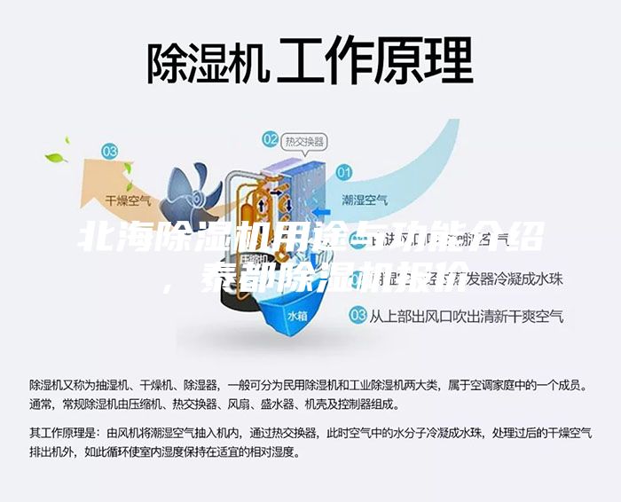 北海除濕機用途與功能介紹，泰都除濕機報價
