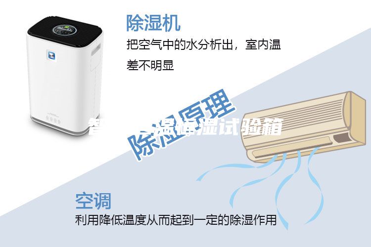 智能恒溫恒濕試驗(yàn)箱