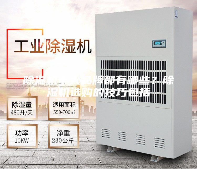 除濕機十大品牌都有哪些？除濕機選購的技巧包括
