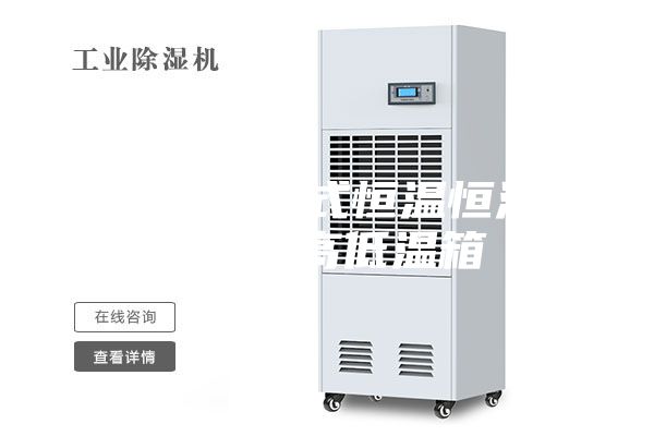 步入式可程式恒溫恒濕試驗(yàn)室 高低溫箱