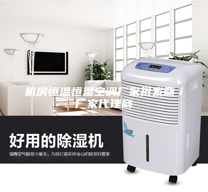 機房恒溫恒濕空調(diào)廠家批發(fā)商／廠家代理商