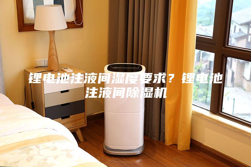 鋰電池注液間濕度要求？鋰電池注液間除濕機(jī)