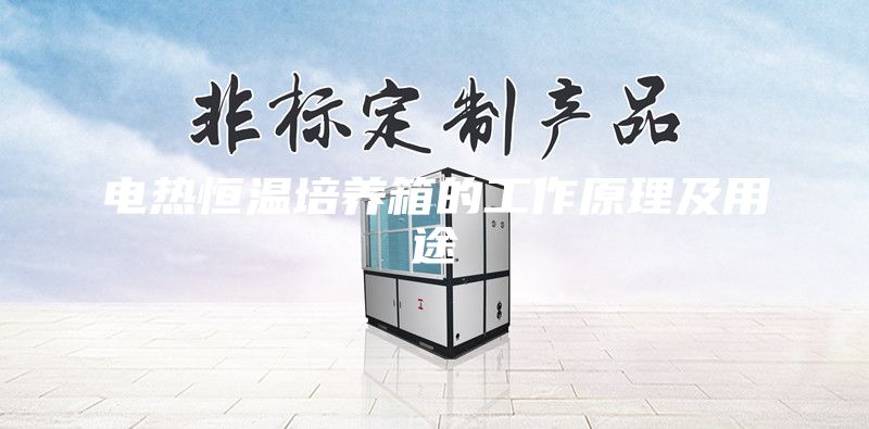 電熱恒溫培養(yǎng)箱的工作原理及用途