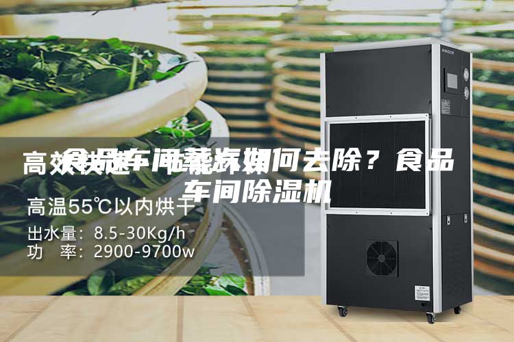 食品車間蒸汽如何去除？食品車間除濕機(jī)