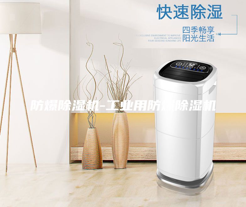 防爆除濕機(jī)-工業(yè)用防爆除濕機(jī)
