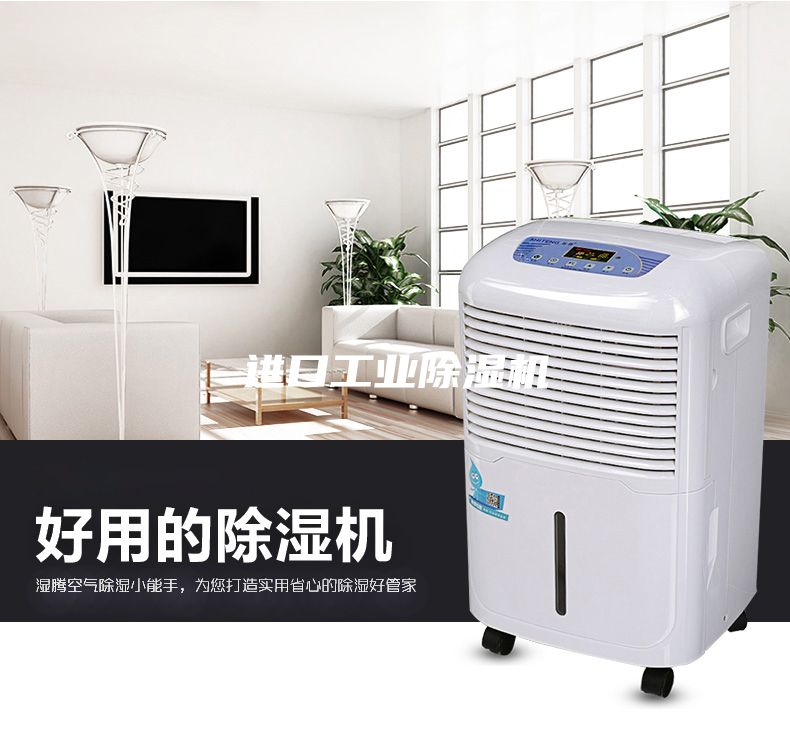 進(jìn)口工業(yè)除濕機(jī)