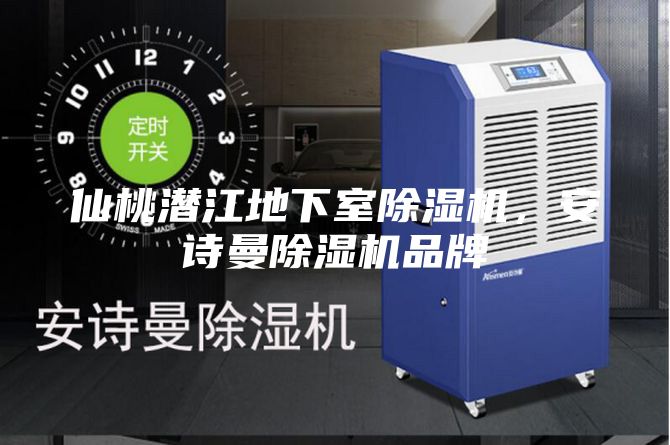仙桃潛江地下室除濕機(jī)，安詩(shī)曼除濕機(jī)品牌