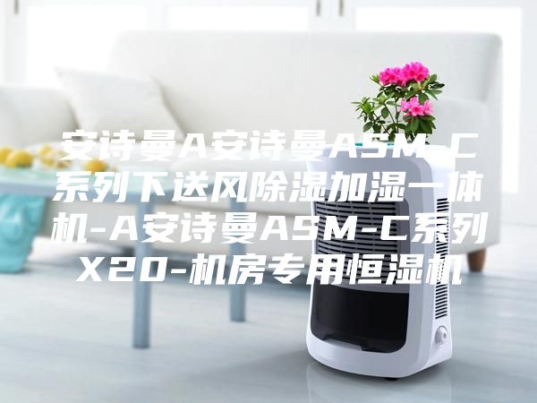 安詩(shī)曼A安詩(shī)曼ASM-C系列下送風(fēng)除濕加濕一體機(jī)-A安詩(shī)曼ASM-C系列X20-機(jī)房專(zhuān)用恒濕機(jī)