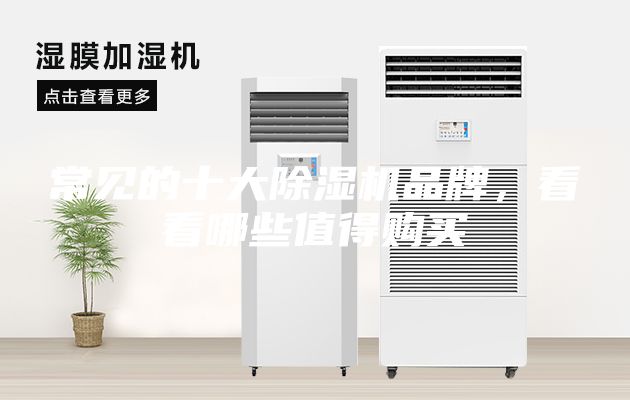 常見(jiàn)的十大除濕機(jī)品牌，看看哪些值得購(gòu)買(mǎi)