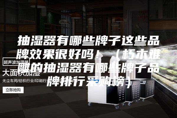 抽濕器有哪些牌子這些品牌效果很好嗎?。ㄐ嗄倦y雕的抽濕器有哪些牌子品牌排行采購榜）