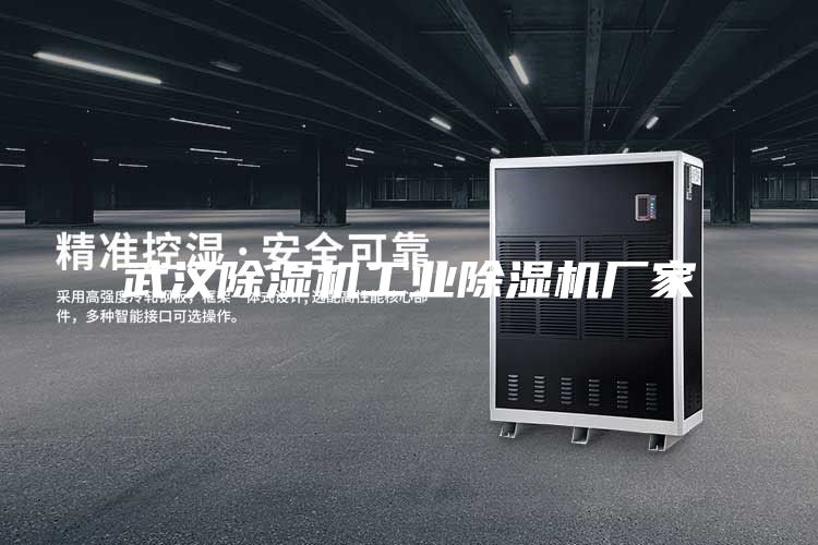 武漢除濕機工業(yè)除濕機廠家