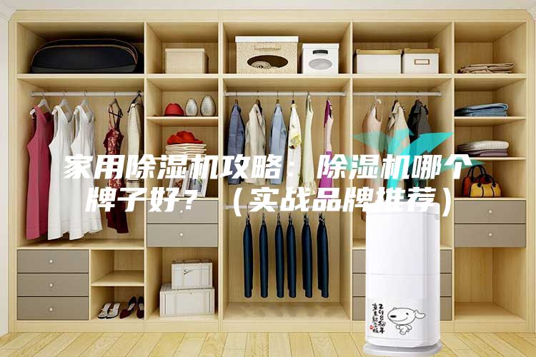 家用除濕機(jī)攻略：除濕機(jī)哪個(gè)牌子好？（實(shí)戰(zhàn)品牌推薦）