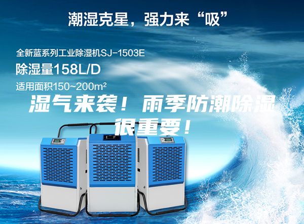濕氣來襲！雨季防潮除濕很重要！