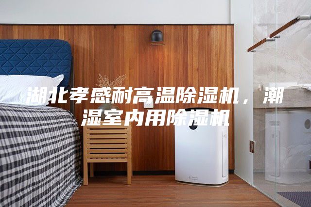 湖北孝感耐高溫除濕機(jī)，潮濕室內(nèi)用除濕機(jī)