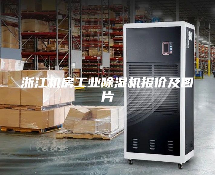 浙江機房工業(yè)除濕機報價及圖片