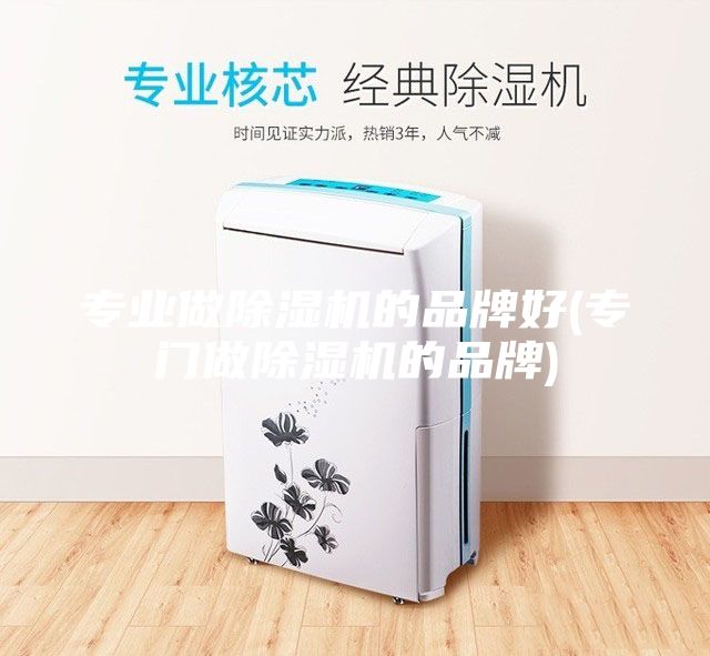 專業(yè)做除濕機的品牌好(專門做除濕機的品牌)