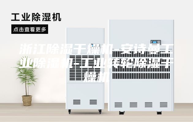 浙江除濕干燥機(jī)-安詩(shī)曼工業(yè)除濕機(jī)-工業(yè)轉(zhuǎn)輪除濕干燥機(jī)