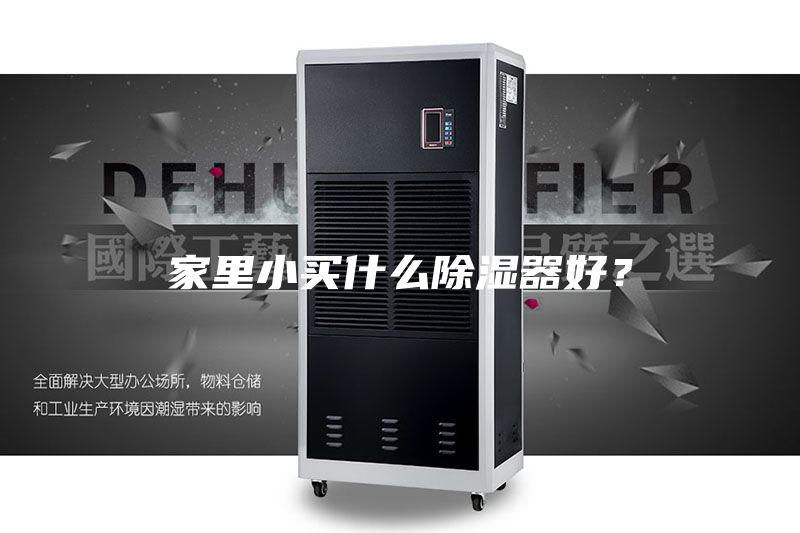家里小買(mǎi)什么除濕器好？