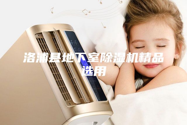 洛浦縣地下室除濕機精品選用
