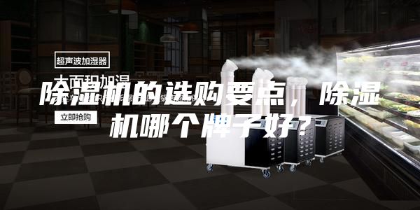 除濕機(jī)的選購要點(diǎn)，除濕機(jī)哪個牌子好？