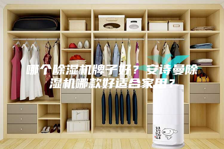 哪個(gè)除濕機(jī)牌子好？安詩(shī)曼除濕機(jī)哪款好適合家用？