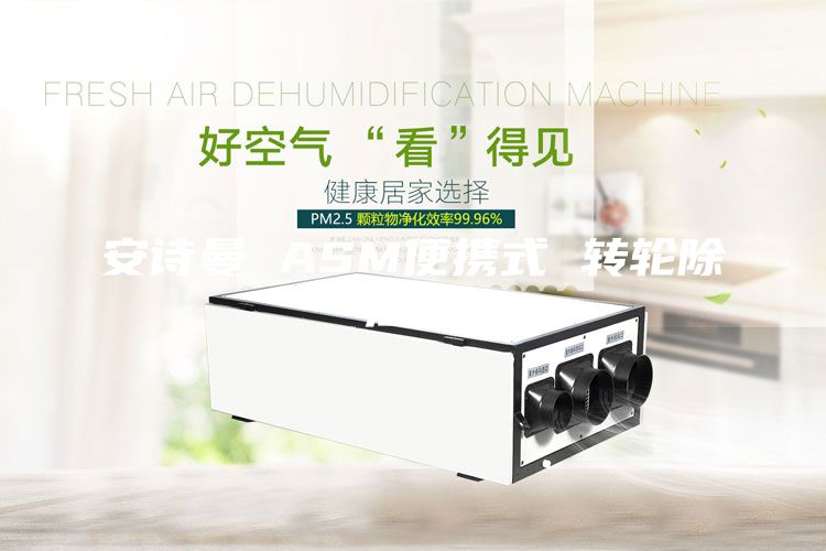 安詩(shī)曼 ASM便攜式 轉(zhuǎn)輪除濕機(jī)