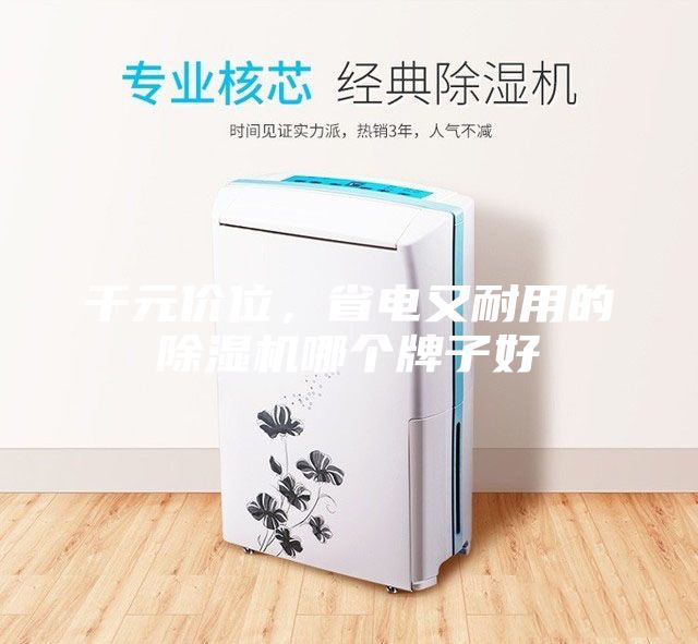 千元價位，省電又耐用的除濕機哪個牌子好