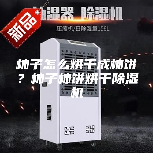 柿子怎么烘干成柿餅？柿子柿餅烘干除濕機