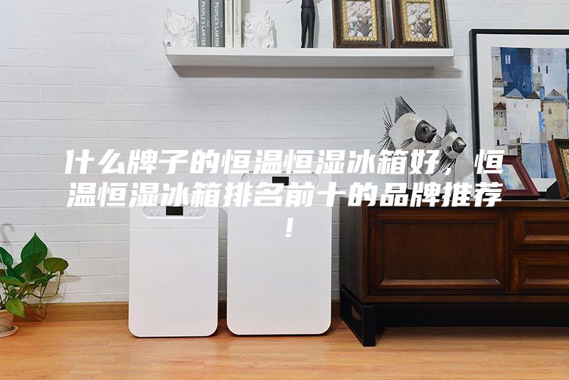 什么牌子的恒溫恒濕冰箱好，恒溫恒濕冰箱排名前十的品牌推薦！