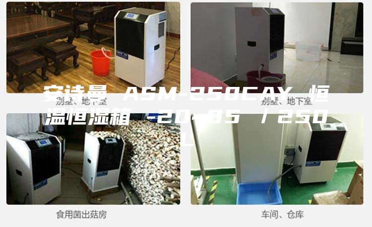 安詩(shī)曼 ASM-250CAY 恒溫恒濕箱 -20~85℃／250L