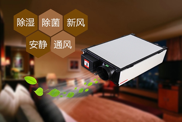 如何預(yù)防辦公室裝修后的防潮問(wèn)題？