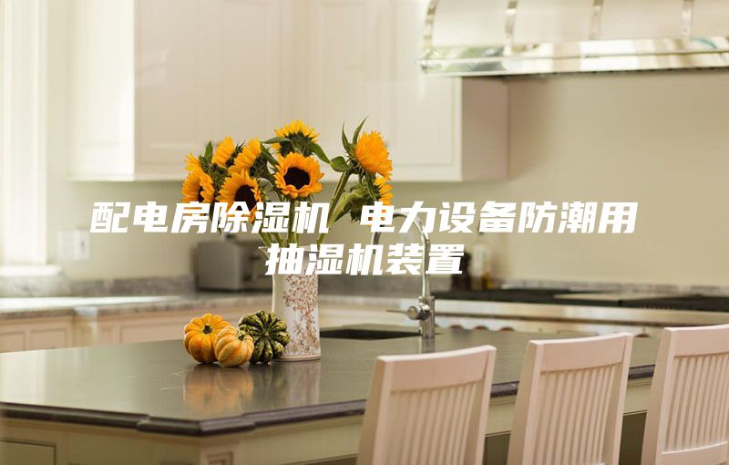 配電房除濕機(jī) 電力設(shè)備防潮用抽濕機(jī)裝置