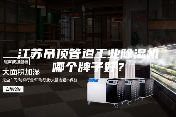 江蘇吊頂管道工業(yè)除濕機(jī)哪個(gè)牌子好？