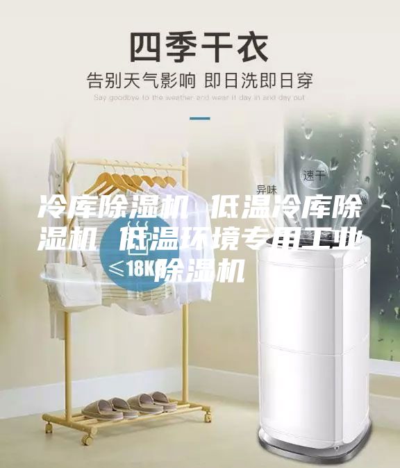 冷庫除濕機(jī) 低溫冷庫除濕機(jī) 低溫環(huán)境專用工業(yè)除濕機(jī)