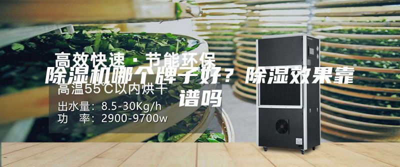 除濕機(jī)哪個牌子好？除濕效果靠譜嗎