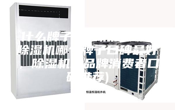 什么牌子除濕機(jī)質(zhì)量好(除濕機(jī)哪個(gè)牌子口碑最好，除濕機(jī)的品牌消費(fèi)者口碑推薦)