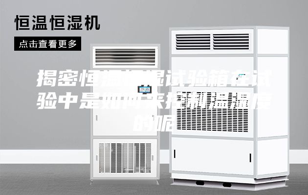 揭密恒溫恒濕試驗(yàn)箱在試驗(yàn)中是如何來控制溫濕度的呢