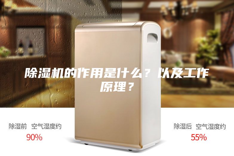 除濕機(jī)的作用是什么？以及工作原理？
