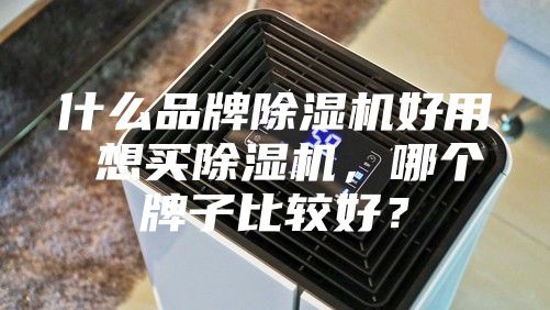 什么品牌除濕機(jī)好用 想買除濕機(jī)，哪個(gè)牌子比較好？