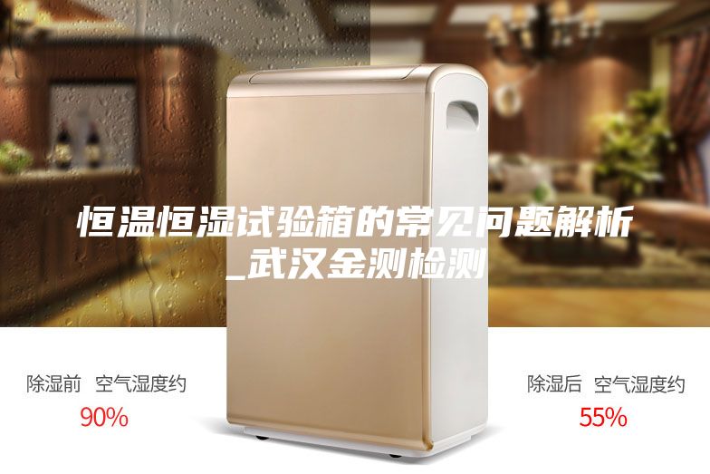 恒溫恒濕試驗(yàn)箱的常見問題解析_武漢金測(cè)檢測(cè)