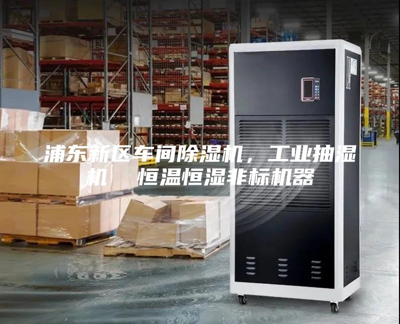 浦東新區(qū)車間除濕機(jī)，工業(yè)抽濕機(jī)  恒溫恒濕非標(biāo)機(jī)器