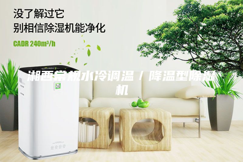 湘西常規(guī)水冷調(diào)溫／降溫型除濕機