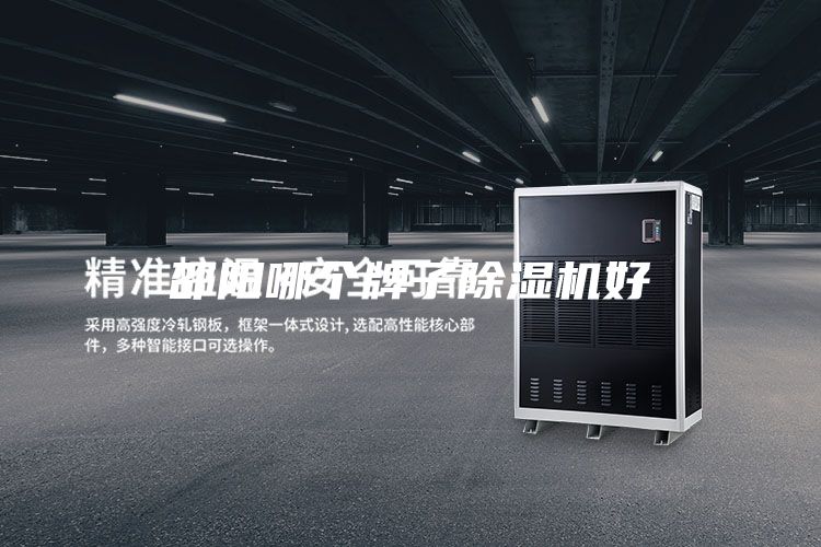 邵陽哪個牌子除濕機(jī)好