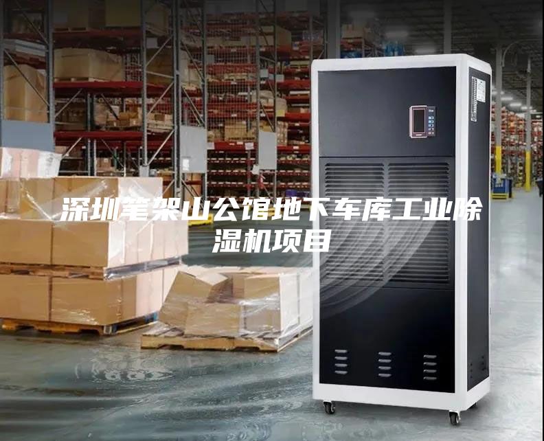 深圳筆架山公館地下車(chē)庫(kù)工業(yè)除濕機(jī)項(xiàng)目