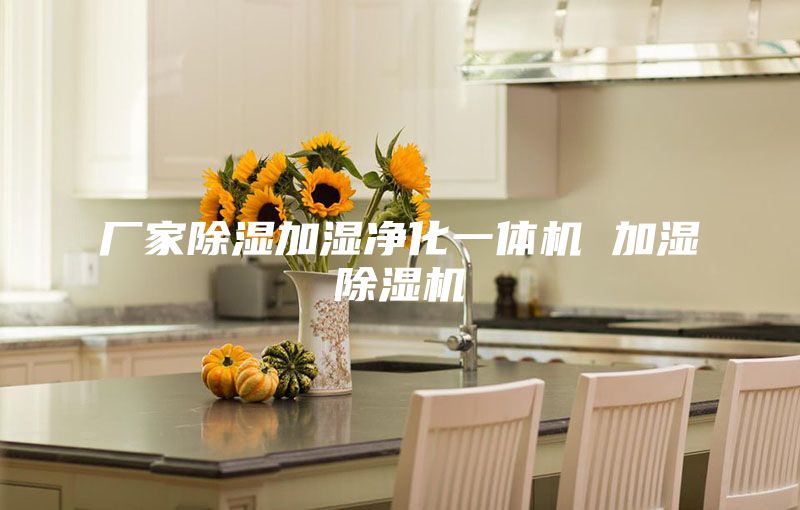 廠家除濕加濕凈化一體機(jī) 加濕除濕機(jī)